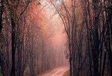 雄鹿核心：米德尔顿发威压制热火取胜