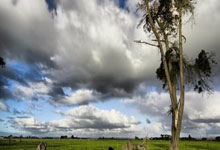 运动员们在足球场上展现出的团结精神令人动容