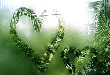 马其顿队首次晋级，欧洲杯成绩史无前例