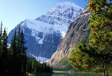 里昂客场逼平，积分榜排名下滑