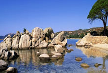 伯恩茅斯主场失分，关键时刻输球